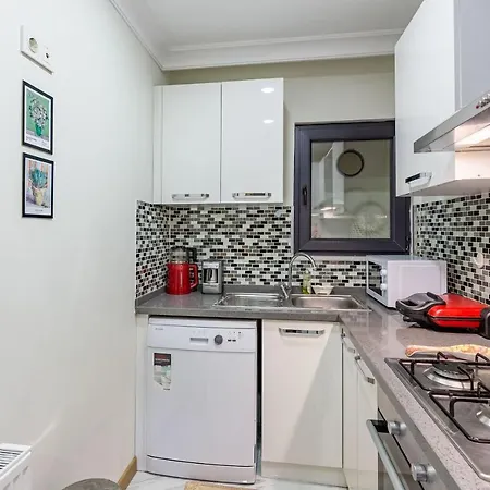 Modern Flat Near Public Transportation In Maltepe Διαμέρισμα